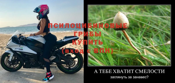 а пвп мука Каменка