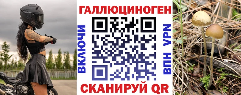 Купить закладки  Гусев  Псилоцибиновые грибы Magic Shrooms 